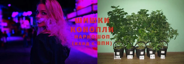 эйфоретик Богородск