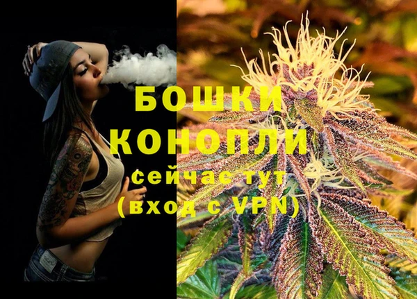 прущие крисы Богданович