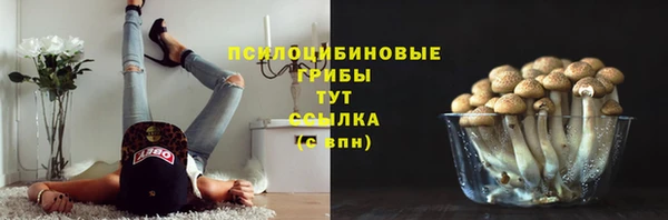 эйфоретик Богородск
