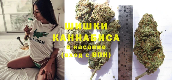дживик Бугульма