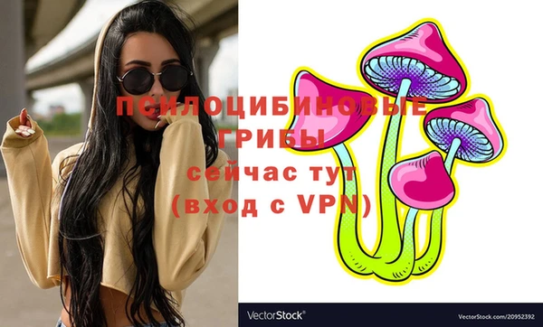 эйфоретик Богородск