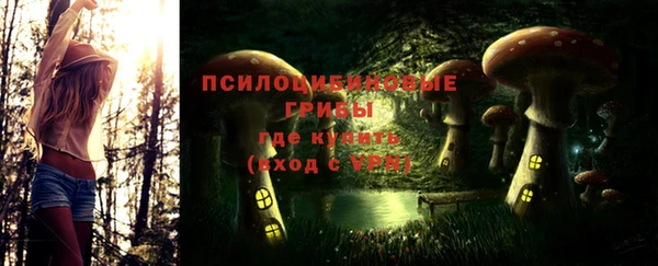 дживик Бугульма